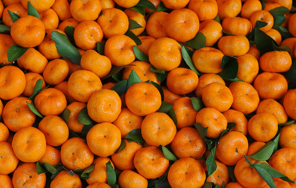 Mandarine in veselje